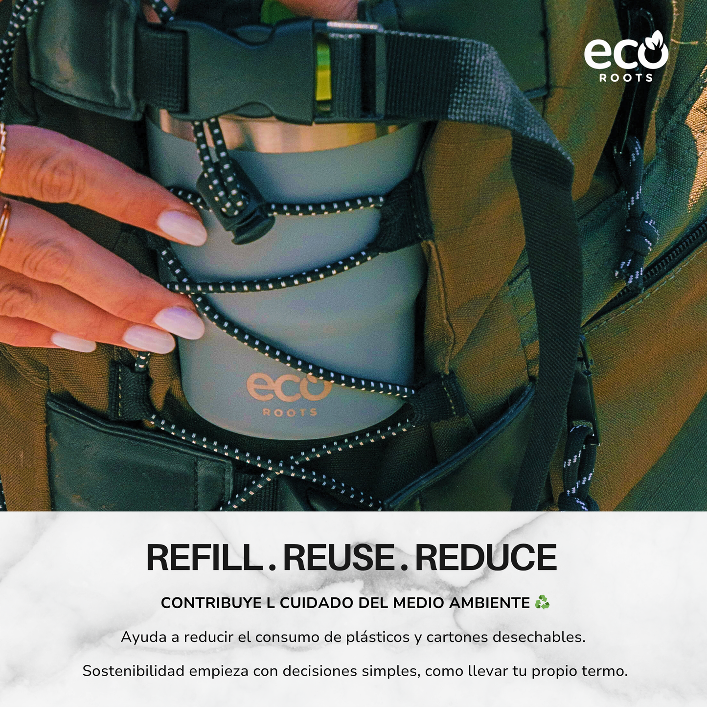 ECOROOTS Evergreen I Termo 360 º I Vaso térmico (Gris Perla)